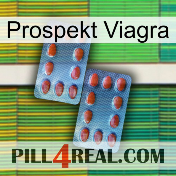 Prospecto Viagra 05.jpg